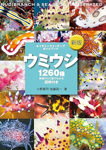 小野篤司 & 加藤昌一. (2020). 新版 ウミウシ. 誠文堂新光社. 表紙