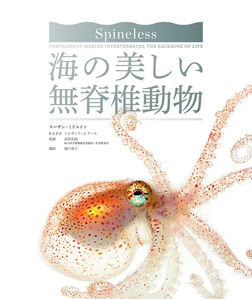 スーザン・ミドルトン他. (2015). 海の美しい無脊椎動物. 創元社. 表紙