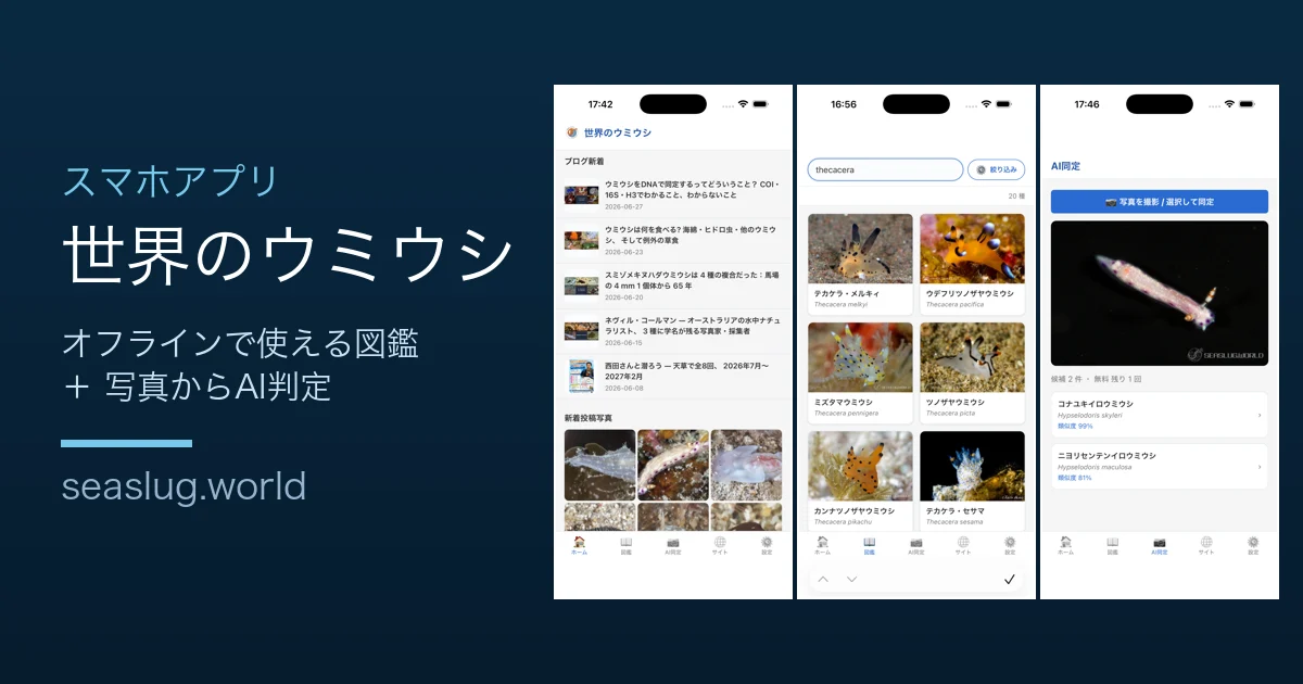 The Sea Slug World app is here