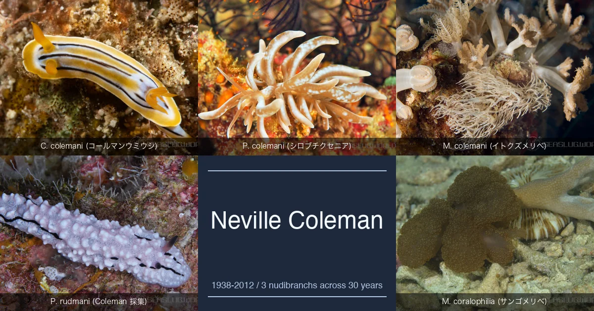 ネヴィル・コールマン — オーストラリアの水中ナチュラリスト、 3 種に学名が残る写真家・採集者