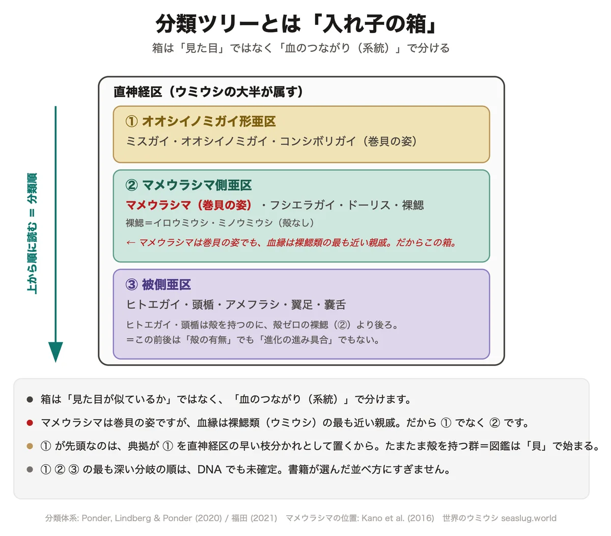分類順は、入れ子の箱（分類ツリー）を上から読んだ並び。箱は見た目ではなく血のつながりで分かれる。